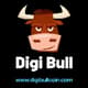 DigiBull Coin