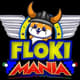Floki Mania BSC