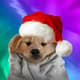 Christmas Dog