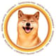 DogeCoinPro