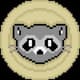 RaccoonToken