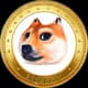 DOGE 3D
