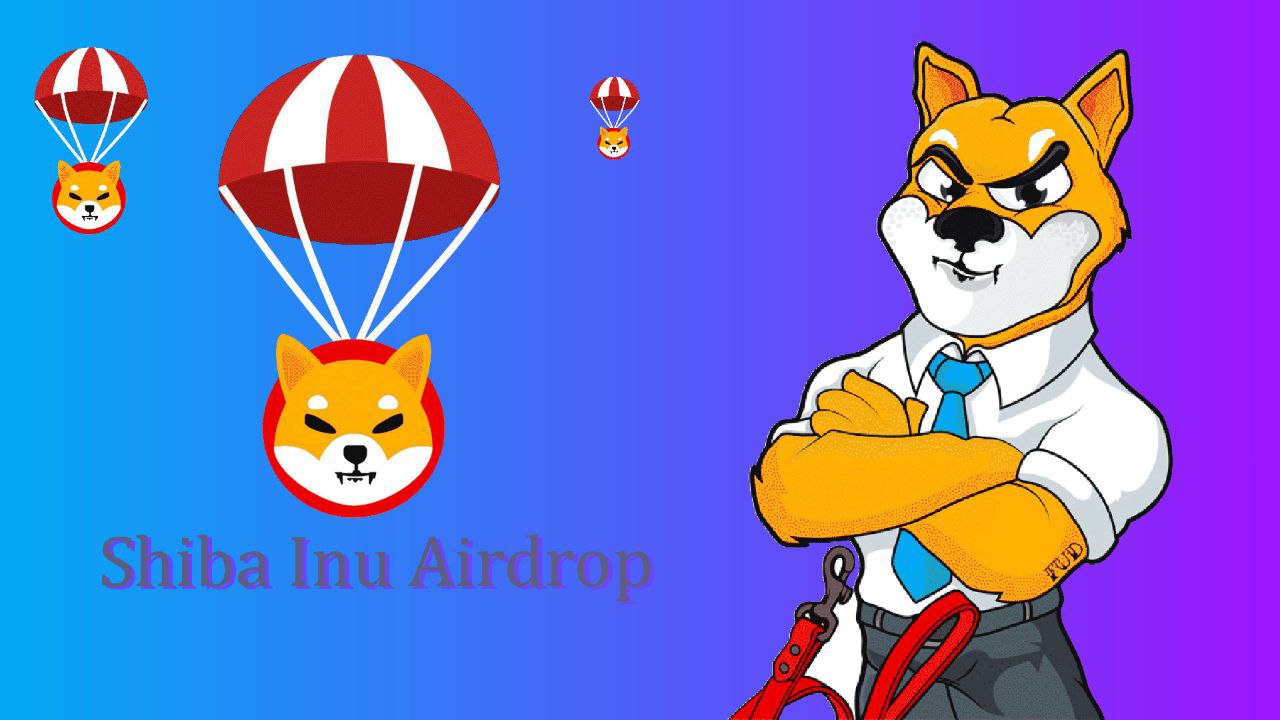 Shiba inu