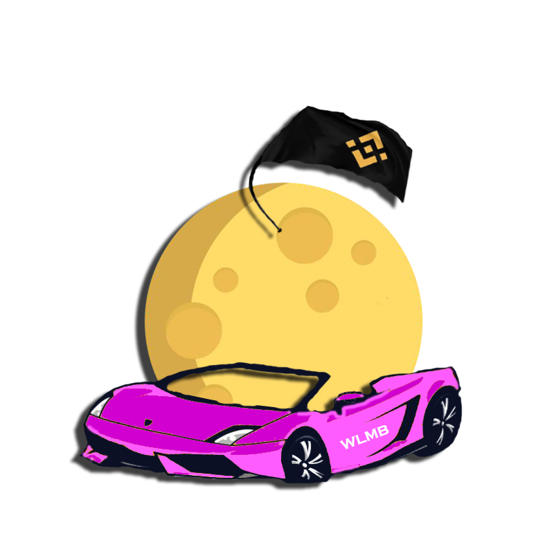 When lambo moon binance