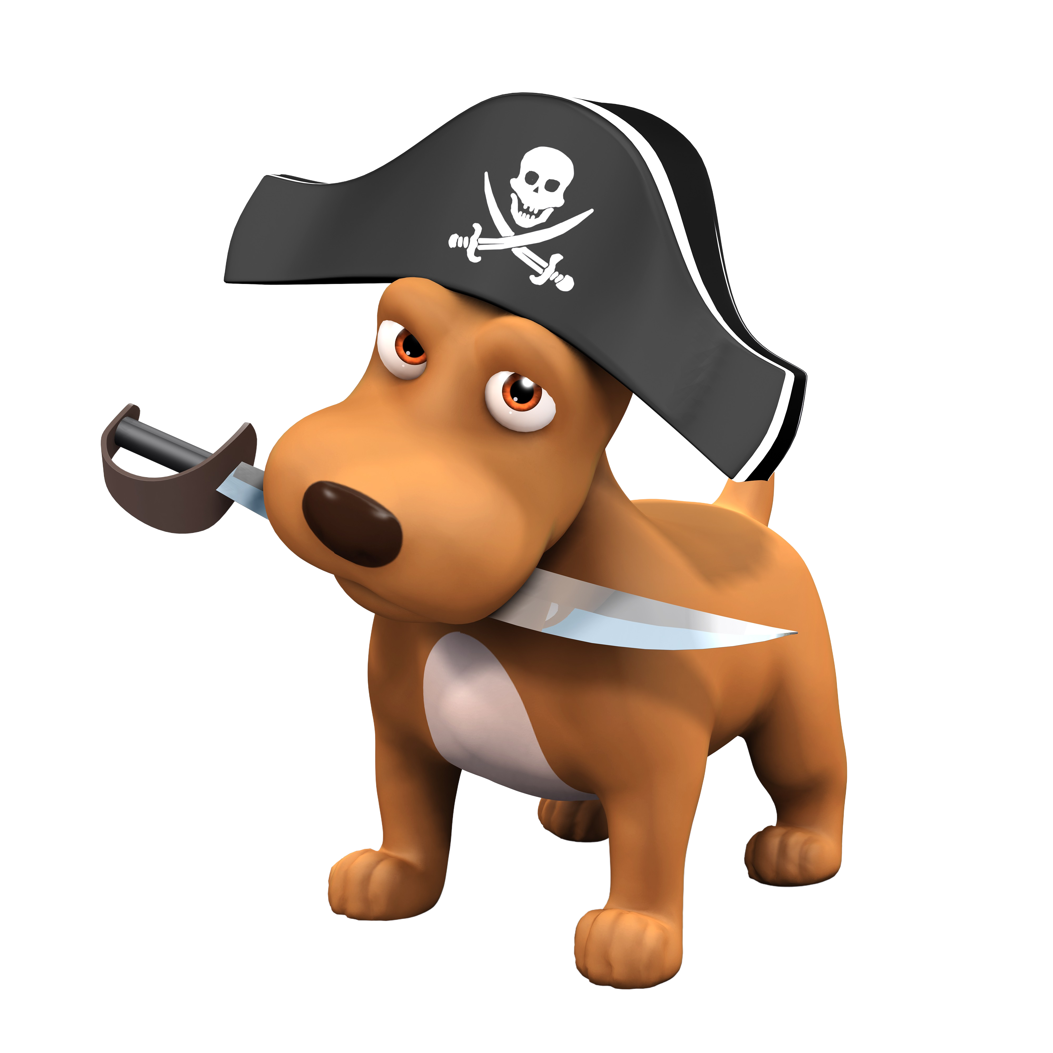 Floki Pirate