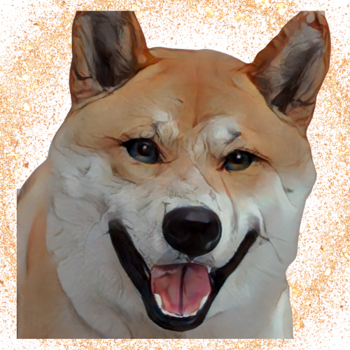 Foxy Shiba