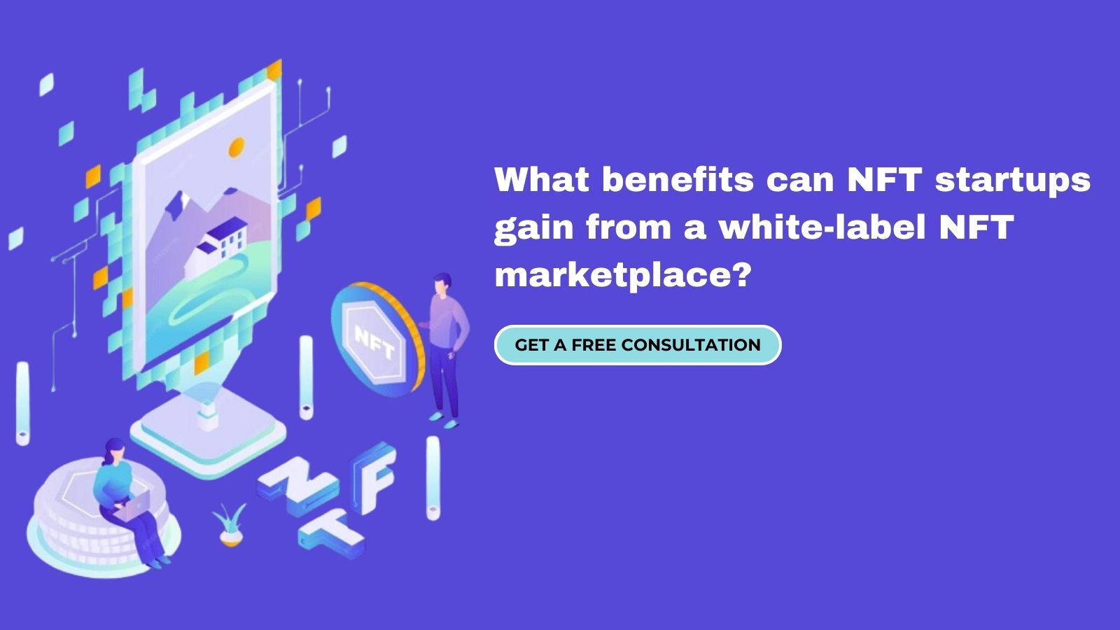 What are the benefits can NFT startups gain from a white-label NFT marketplace?