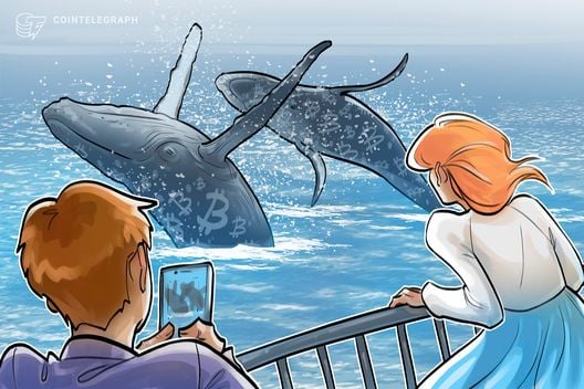 Whales, sharks buy 61,000 BTC in a month amid global uncertainty