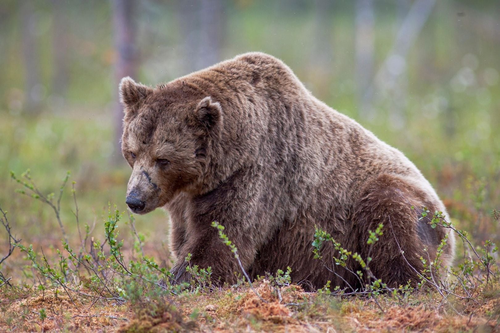 Crypto firms cut hundreds of jobs in weeks, blaming weak markets, strong AI