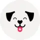 CashDog