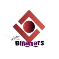 LittleBinamars Logo