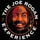 Joe Rogan Meme