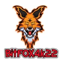 BitFox4k22 Logo