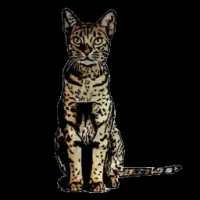 Ocicat Logo