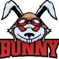 BunnyRise Logo