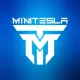 minitesla