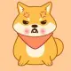Angry Doge Coin
