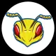 Hornet