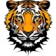 gianttiger