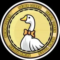 NEWb Token Logo