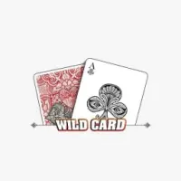 WILD CARD Logo