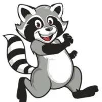 Raccoon Coin Logo