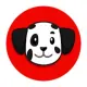 Dalmatian