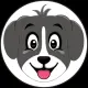 COLLIE INU