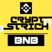 CryptoOstrich BNB Logo