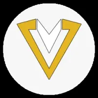 VitalChain Logo