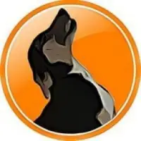 Shibashia Logo