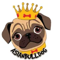 Asian Bull Dog Logo