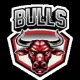 Bulls Coin