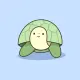 Summer TURT