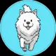 PoodleCoin