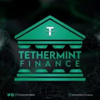 TetherMint Finance Logo