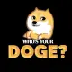 Whos Your Doge