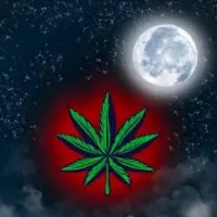Blaze Logo
