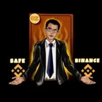 Safe Binance Logo