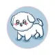 Poodle Pup