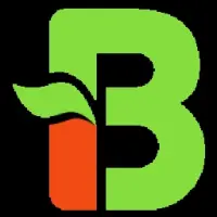 BLOCK BEATS NETWORK Logo