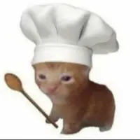 lilcat Logo