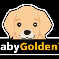 BabyGolden Logo