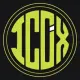 ICOINX