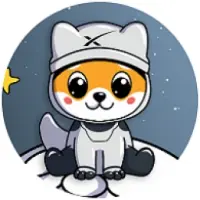 Baby Moon Floki Logo