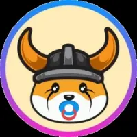 Floki JR Logo