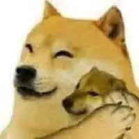 DogeMcCheems Logo