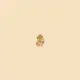 MicroDoge