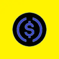 Yellow Black USDC Logo