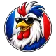 Coq french Meme Coin